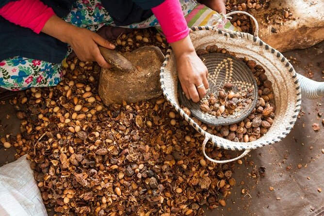 A Day in the High Atlas and Discovery of Berber Culture - Inclusions
