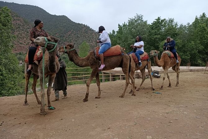 A Day in the High Atlas and Discovery of Berber Culture - Exploring the High Atlas