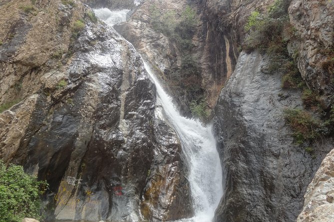 A Day in the Ourika Valley From Marrakech - Reviews and Feedback