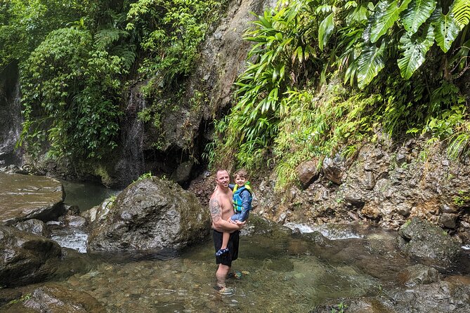 A Day of Relaxation in the Jungle and Waterfalls of Dominica - Exploring the Lush Dominica Jungle