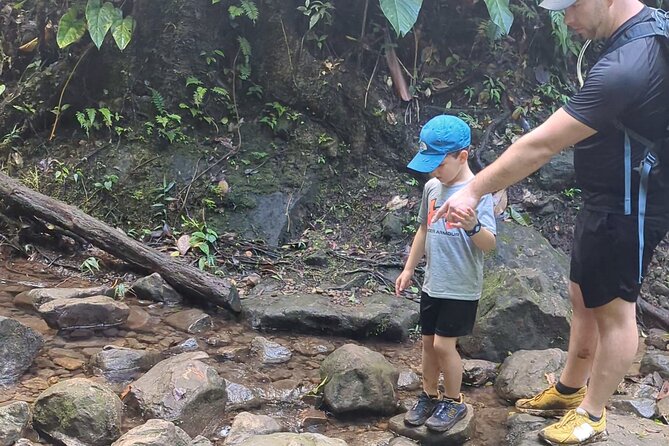 A Day of Relaxation in the Jungle and Waterfalls of Dominica - Transportation and Meeting Point Details