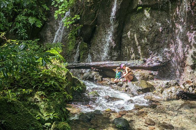 A Day of Relaxation in the Jungle and Waterfalls of Dominica - Important Health and Safety Considerations