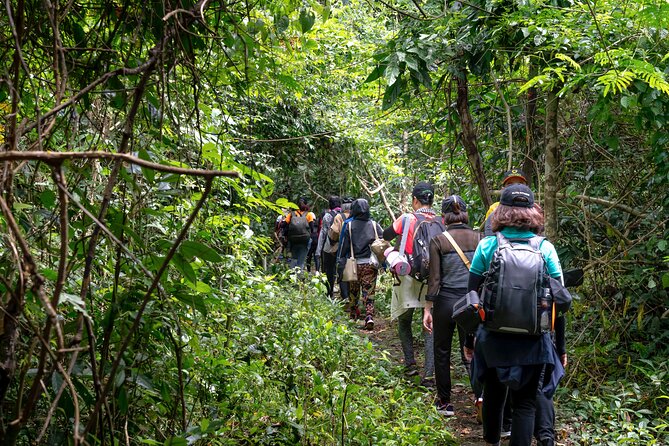 A Day of Relaxation in the Jungle and Waterfalls of Dominica - Questions About Your Stay