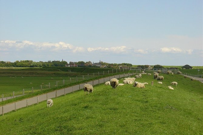 A Day of Solex Riding on Texel - Recap