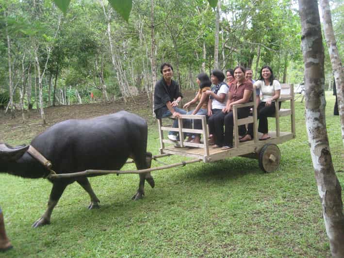 A Day of Tradition and Tastes of Cebu South - Cultural Activities