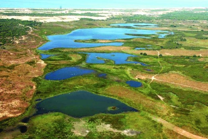 A Day Through the Doñana National Park and the Village of Rocio - Discovering the Unique Ecosystems