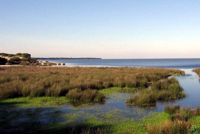 A Day Through the Doñana National Park and the Village of Rocio - Booking and Logistics