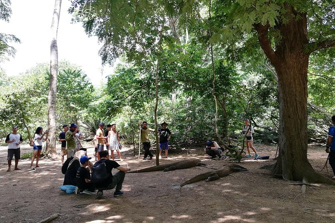 A Day to Komodo Island - Komodo Island Experience