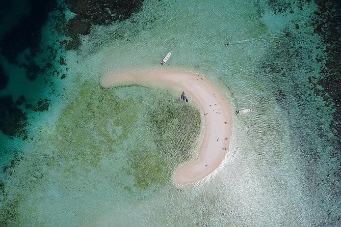A Day to Komodo Island - Manta Point Snorkeling
