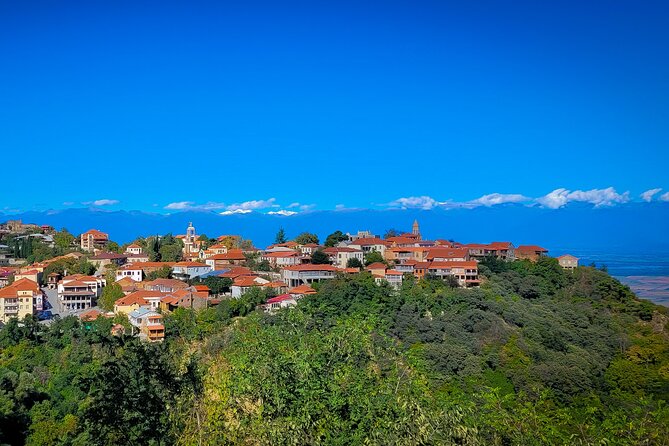A Day Tour to Kakheti Region/Wine/Culture/History and Gastro Tour - Bodbe Monastery