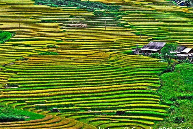 A day Trek to Rice Field in LaoChai-Tavan village-MuongHoa valley - Practical Tips for Potential Travelers