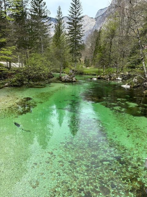 A Day Trip From Ljubljana: Magical Nature and Lake Bohinj - Itinerary Highlights