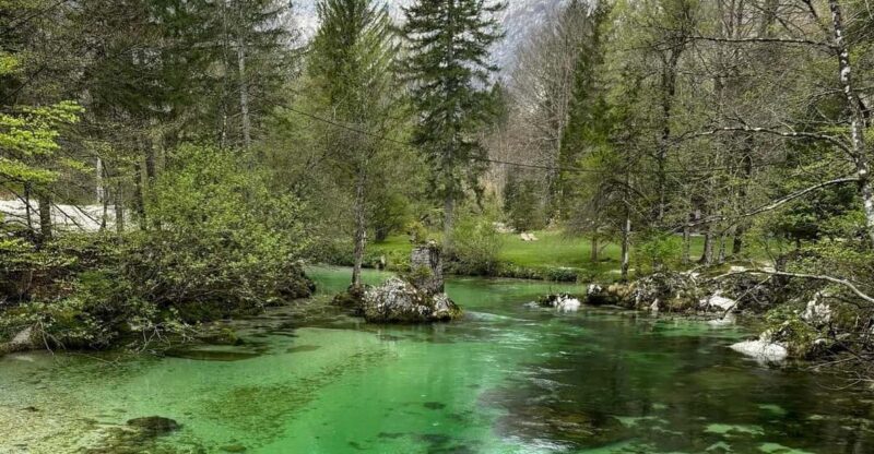 A Day Trip From Ljubljana: Magical Nature and Lake Bohinj - Exploring Bohinjska Bistrica
