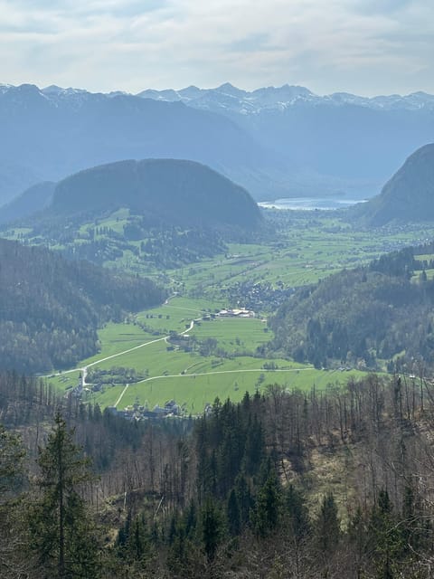 A Day Trip From Ljubljana: Magical Nature and Lake Bohinj - Taking in Nature