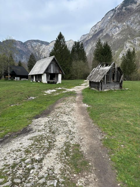 A Day Trip From Ljubljana: Magical Nature and Lake Bohinj - Accessibility and Safety