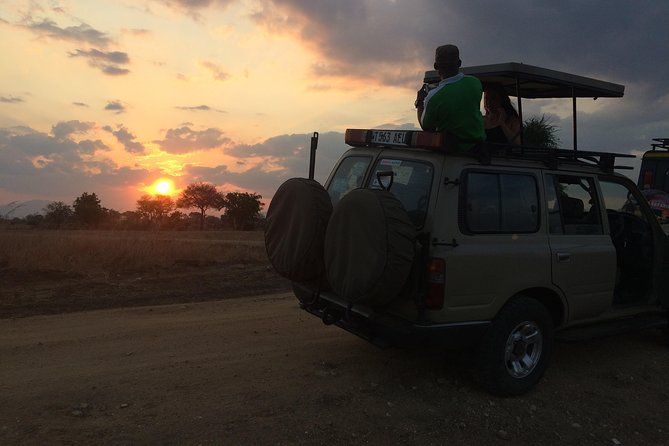A Day Trip to Mikumi From Morogoro - Traveler Reviews and Ratings