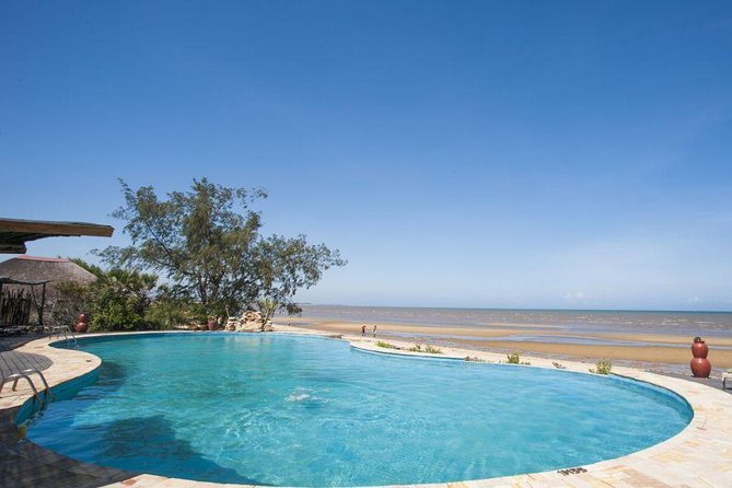 A Day Trip to Saadani National Park From Dar Es Salaam / Zanzibar - Wildlife Viewing Opportunities