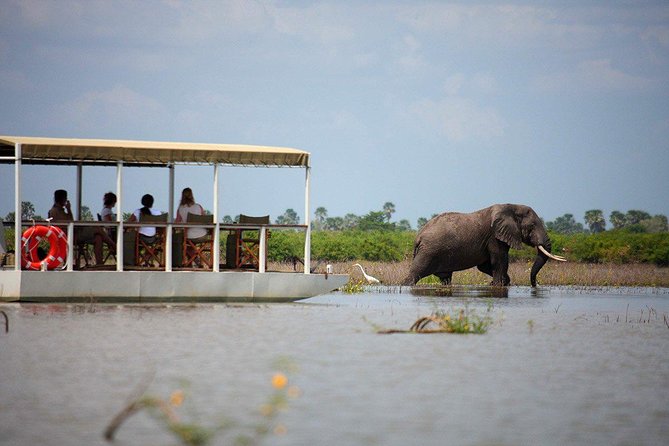 A Day Trip To Selous Fly From Zanzibar - Fly to Selous From Zanzibar or Dar Es Salaam