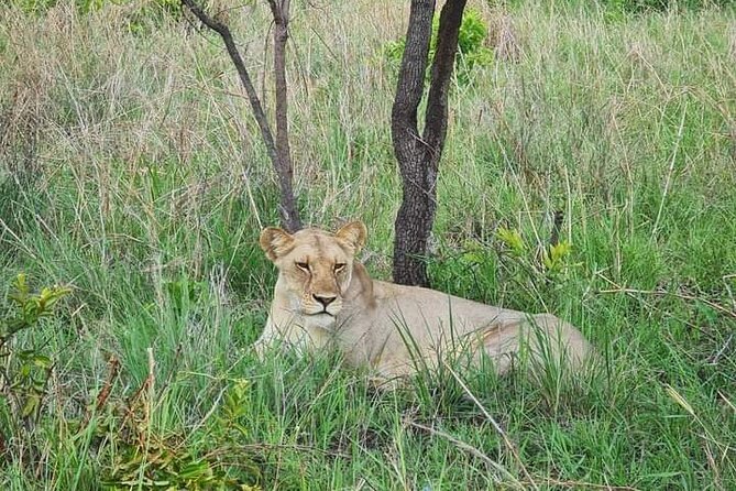 A Day Trip To Selous Fly From Zanzibar - Inclusions and Pickup Locations