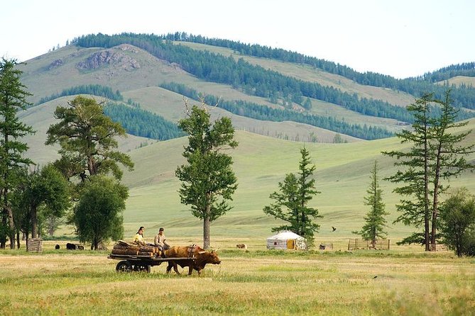A Day Trip to Terelj National Park and Statue of Chinggis Khan - Highlights and Activities