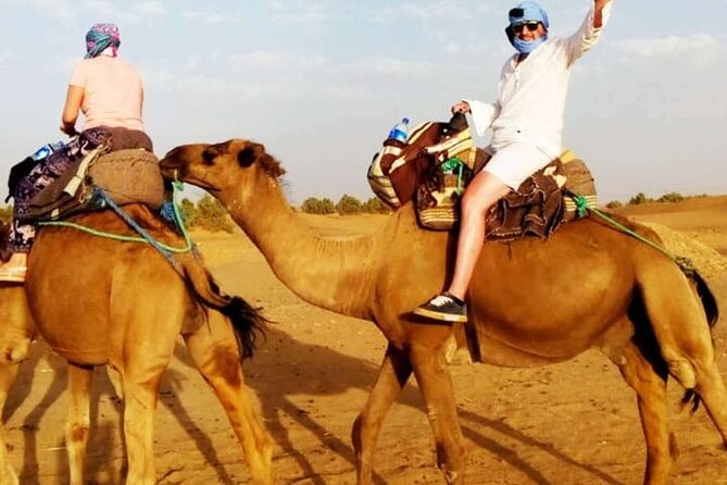 A Day Trip to the Atlas Mountains - Local Culture and Experiences