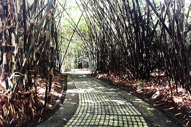 A Day Trip to Tukad Cepung & Rice Terrace - Navigating Health Considerations