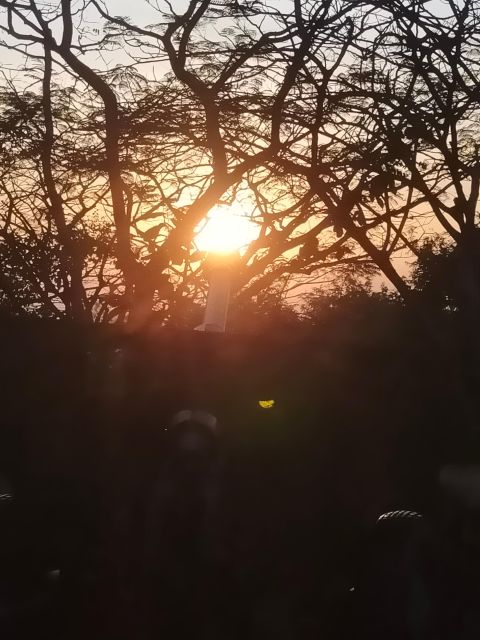 A Day Tuktuk Bambootrain,Fruit Bats, Banan,Killing&Bat Caves - Customer Experiences and Reviews