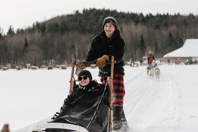 A Day With a Bite in It for Sled Dogs - Group Size