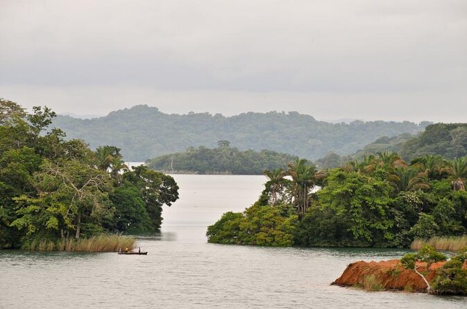 A Day With Nature: Boat Trip on Gatun Lake and The Aerial Tram - Key Points