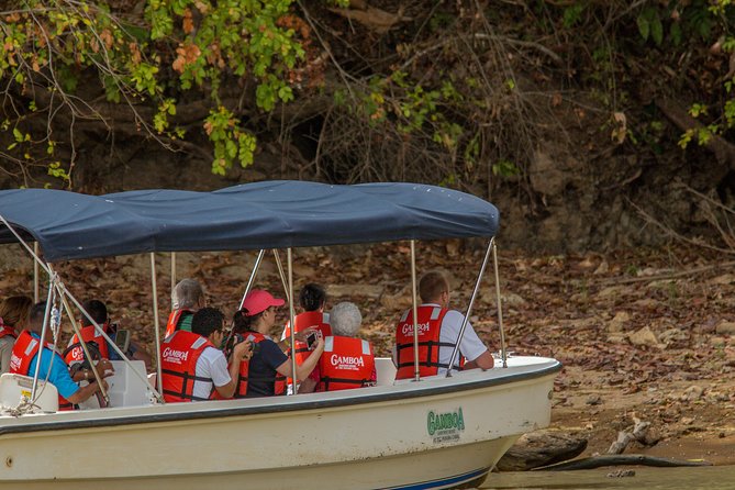 A Day With Nature: Boat Trip on Gatun Lake and The Aerial Tram - Aerial Tram Journey