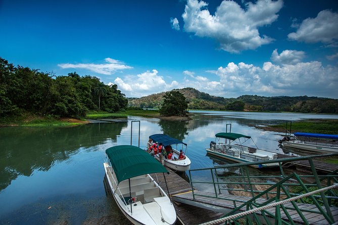 A Day With Nature: Boat Trip on Gatun Lake and The Aerial Tram - Sloth Rescue Center