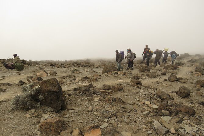 A Definitive Guide For the 7-day Kilimanjaros Lemosho Route - Recommended Climbing Periods