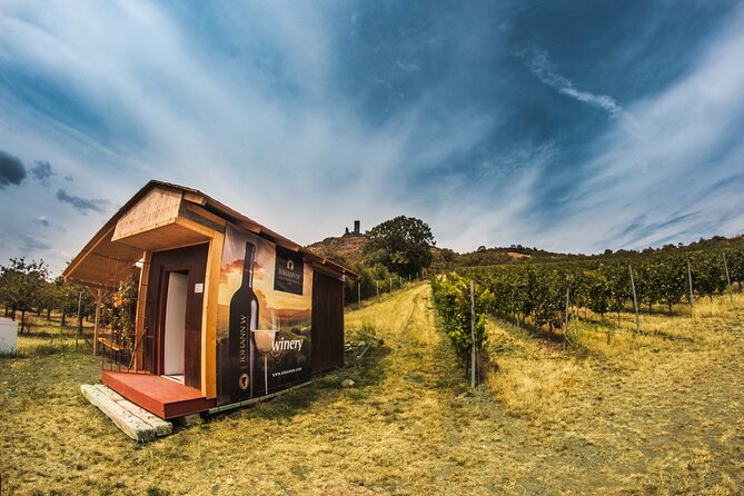 A Delightful Wine Tasting in the Scenic Countryside With Lunch - Transport and Guide Details