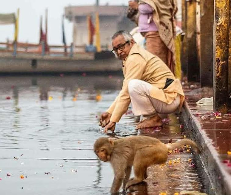 A Divine Trip to Mathura and Vrindavan From Agra - Itinerary Highlights