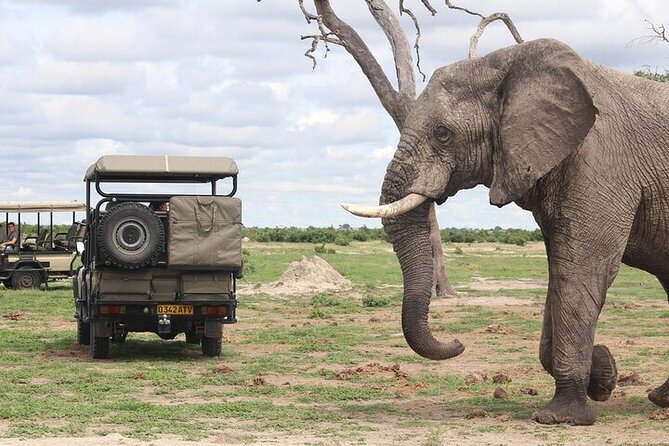 A Full Day Chobe National Park Safari Trip From Victoria Falls - Key Points