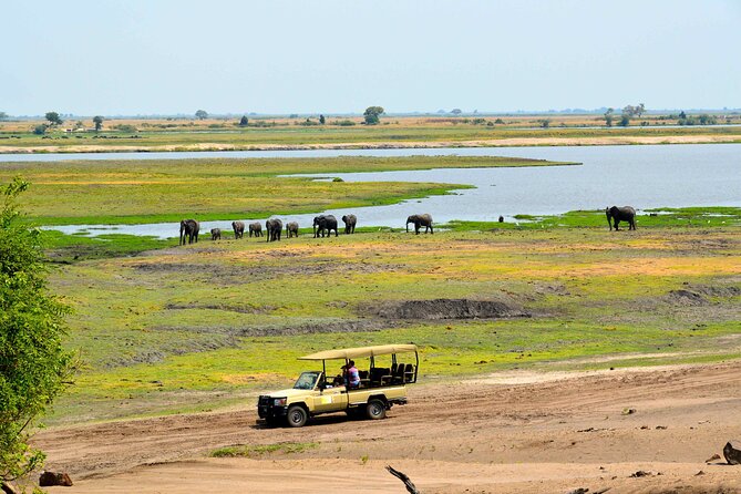 A Full Day Chobe National Park Safari Trip From Victoria Falls - Itinerary and Schedule