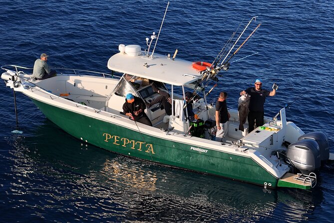 A Full Day Fishing in Sicily - Accessibility and Participation