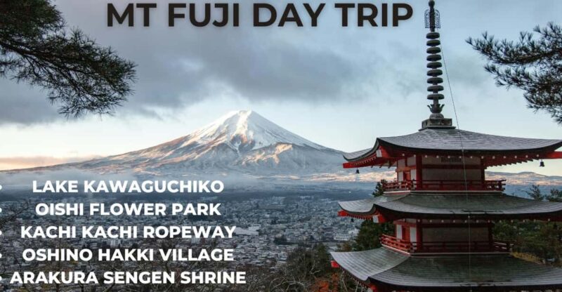 A Full Day Tour in a Private Car or Van of Mt Fuji - Key Points