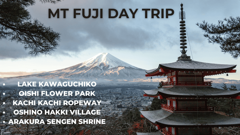 A Full Day Tour in a Private Car or Van of Mt Fuji - Stunning Views From Lake Kawaguchiko