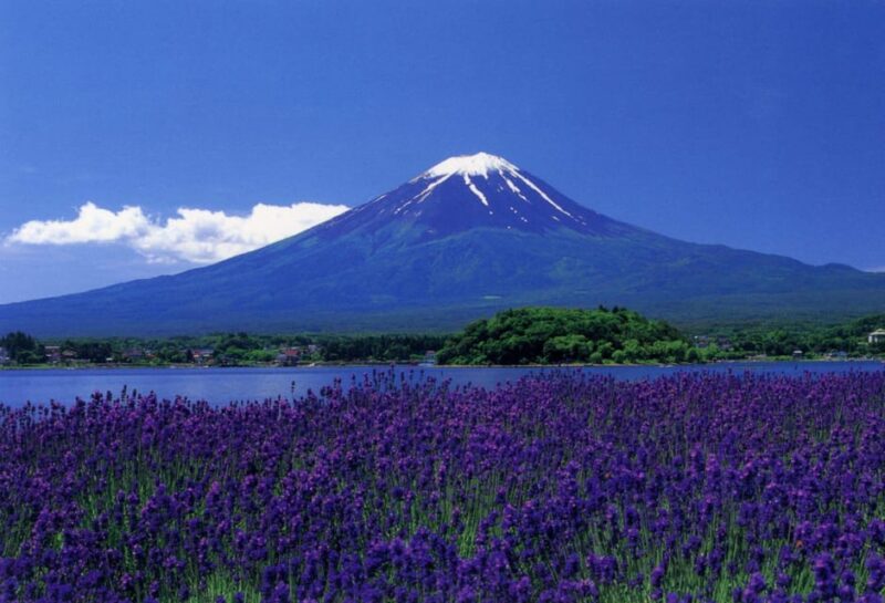 A Full Day Tour in a Private Car or Van of Mt Fuji - Panoramic Vistas From Mt. Kachi Kachi Ropeway