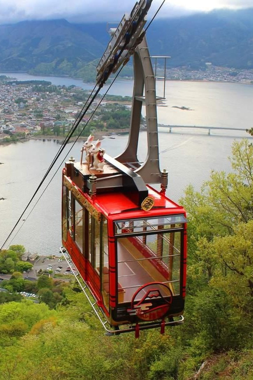 A Full Day Tour in a Private Car or Van of Mt Fuji - Oishi Park and Flower Memories