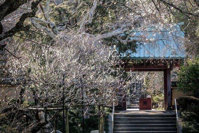 A Fun Day Out Discovering Kamakura - Scenic Photography With a Pro