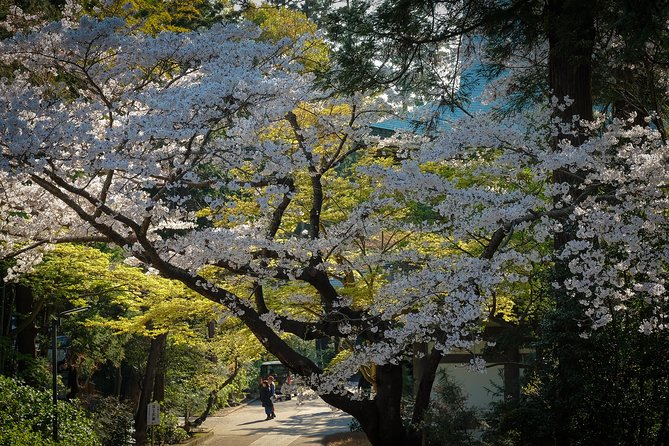 A Fun Day Out Discovering Kamakura - Cancellation Policy and Additional Info