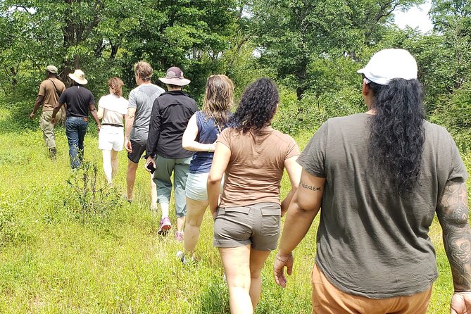 A Game Drive Plus White Rhino Short Walk - Inclusions and Exclusions