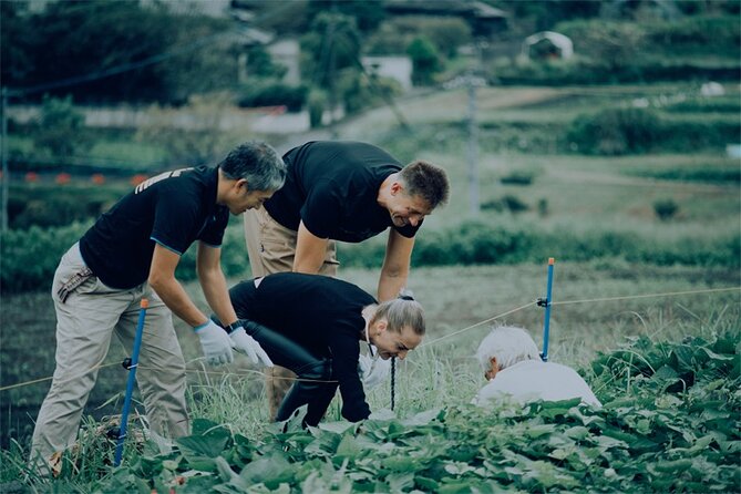 A Gastronomic Tour Exploring the Cycle of Nature and Food - Key Points