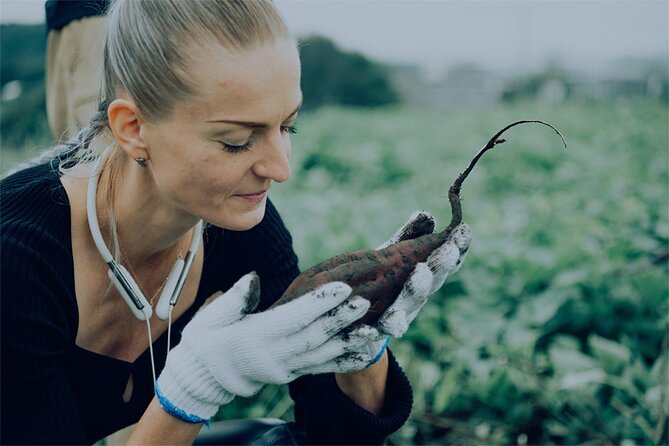 A Gastronomic Tour Exploring the Cycle of Nature and Food - The Art of Traditional Preparation: Mastering Culinary Techniques
