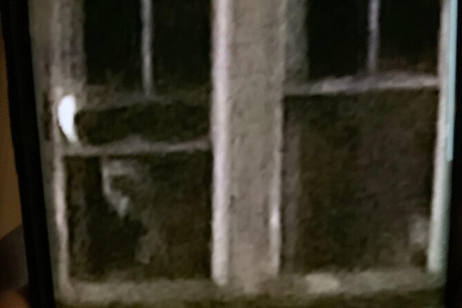 A Ghost Hunting Tour Specters and Apparitions in Salem - Tour Guide and Accessibility