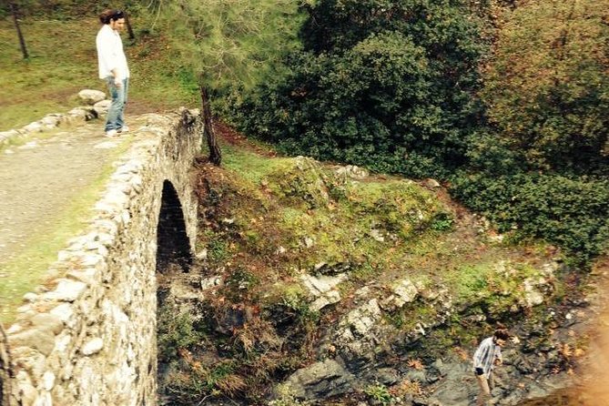 A Glass of Cyprus - Private Wine Tours - Accessibility and Participation