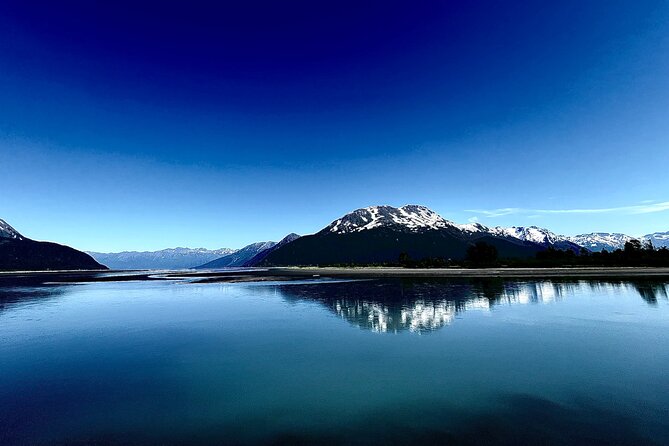 A Guided Alaskan Escape: Wildlife Sanctuary and Glacier Hiking - Frequently Asked Questions