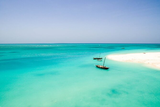 A Half Day Private Dolphins And Snorkeling Tour To Mnemba Island - Meeting and Pickup Details